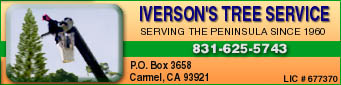 Iverson's Tree Service
